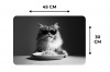 Langharige kat - Zonnebril - Spaghetti - Humor - Zwart - wit Placemat vinyl groot -specs