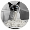 Kat - Siamees - Zwart Wit - Schattig - Dieren KitchenYeah - Keuken - Wandcirkel Forex klein -3d