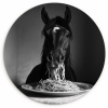 Paard - Bord - Pasta - Tafelkleed - Zwart Wit - Dieren KitchenYeah - Keuken - Wandcirkel Forex klein -3d