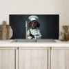 Hond - Garde - Kok Spatscherm Aluminium klein -sfeer2