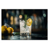 Gin-tonic met een Vleugje Citroen Spatscherm Aluminium klein -3d_volledig