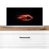 Kreeft - Oranje - Zwart - Opvallend Spatscherm Aluminium klein -3d_zonderpan