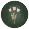 Tulpen - Liefde - Donkergroen KitchenYeah - Keuken - Wandcirkel Forex klein -3d