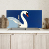 Zwaan - Wit - Snavel - Illustratie Spatscherm Aluminium klein -sfeer2