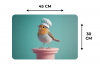 Roodborstje - Vogel - Koksmuts - Sokkel Placemat vinyl groot -specs