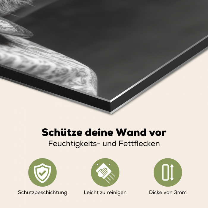 Wasbeer - Cute - Pasta - Tafelkleed - Zwart - Wit Spatscherm Aluminium klein -zcloseup_DE