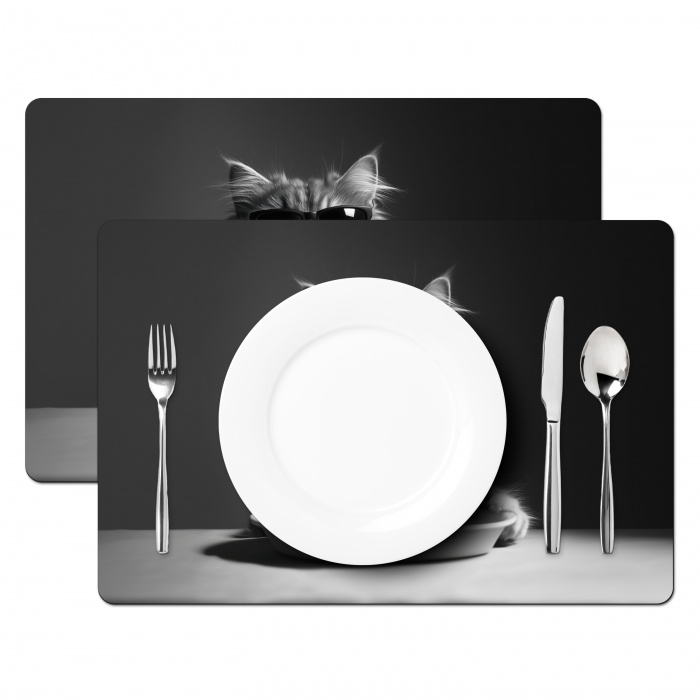 Langharige kat - Zonnebril - Spaghetti - Humor - Zwart - wit Placemat vinyl groot -zzsfeer2_Kitchenyeah-website