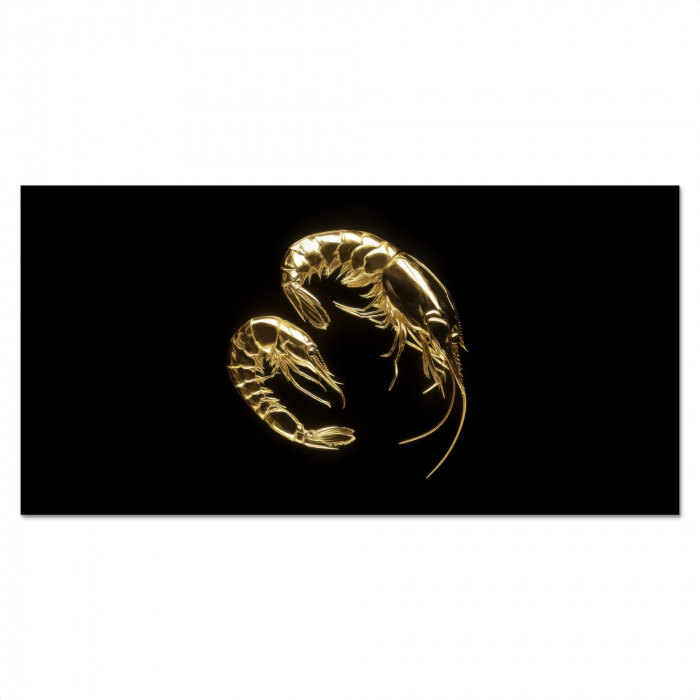 Garnalen - Zwart - Goud - Dieren Spatscherm Aluminium klein -3d_volledig