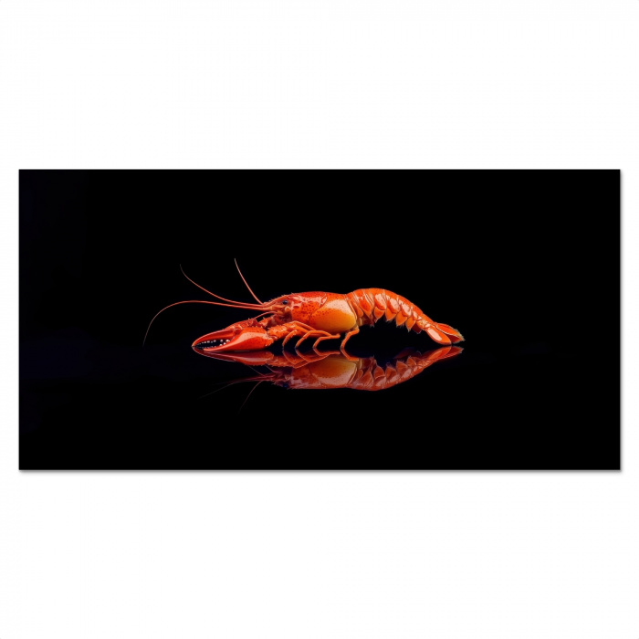 Kreeft - Oranje - Zwart - Opvallend Spatscherm Aluminium klein -3d_volledig