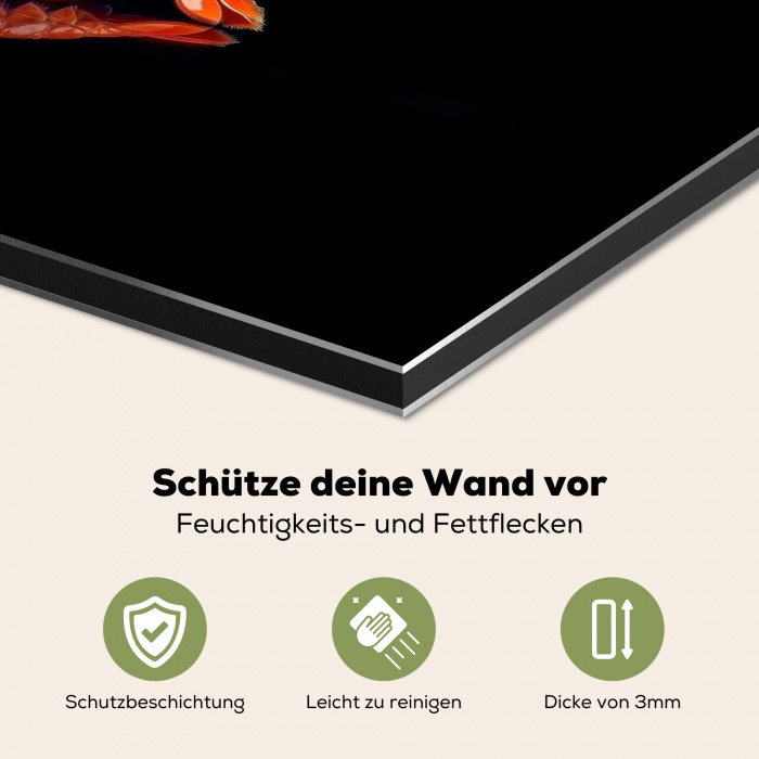 Kreeft - Oranje - Zwart - Opvallend Spatscherm Aluminium klein -zcloseup_DE