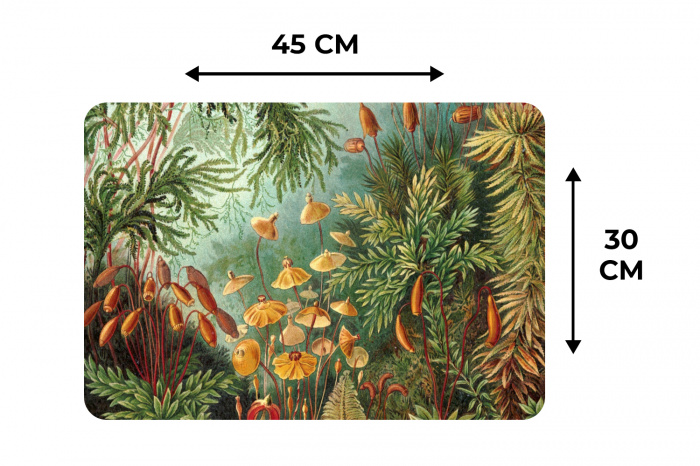 De Muscinae Placemat vinyl groot -specs