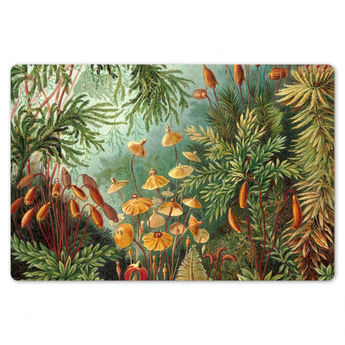 De Muscinae Placemat vinyl groot -zzsfeer1_Kitchenyeah-website