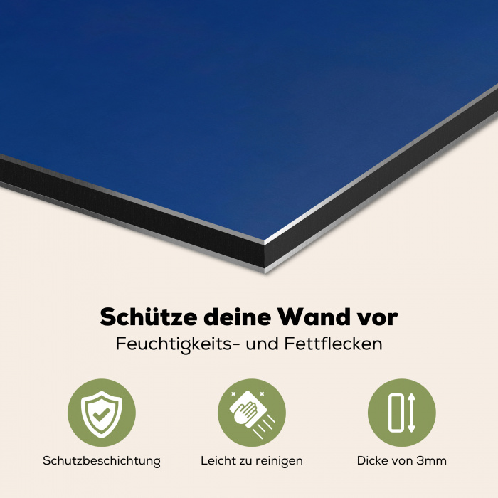 Zwaan - Wit - Snavel - Illustratie Spatscherm Aluminium klein -zcloseup_DE