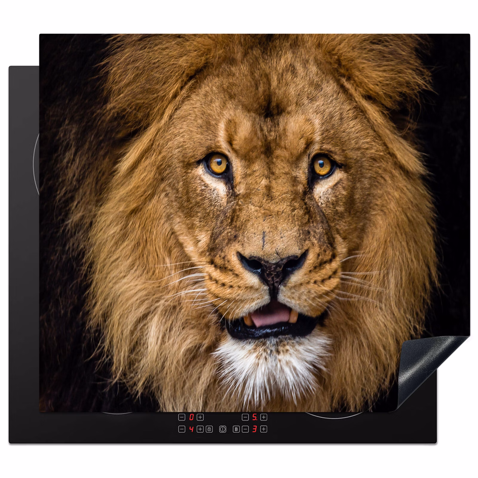 Herdabdeckplatte - Das Gesicht der Serengeti — 1