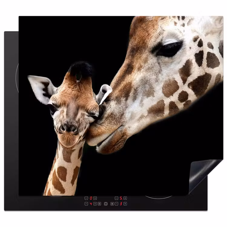 Herdabdeckplatte - Tenderverbindung — 1