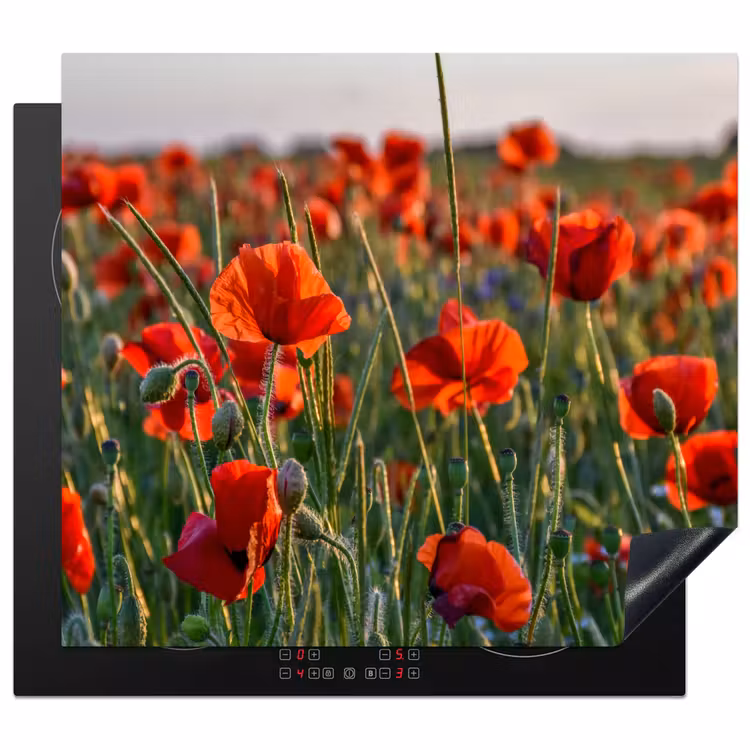 Herdabdeckplatte - Mohnblumen bei Sonnenuntergang — 1