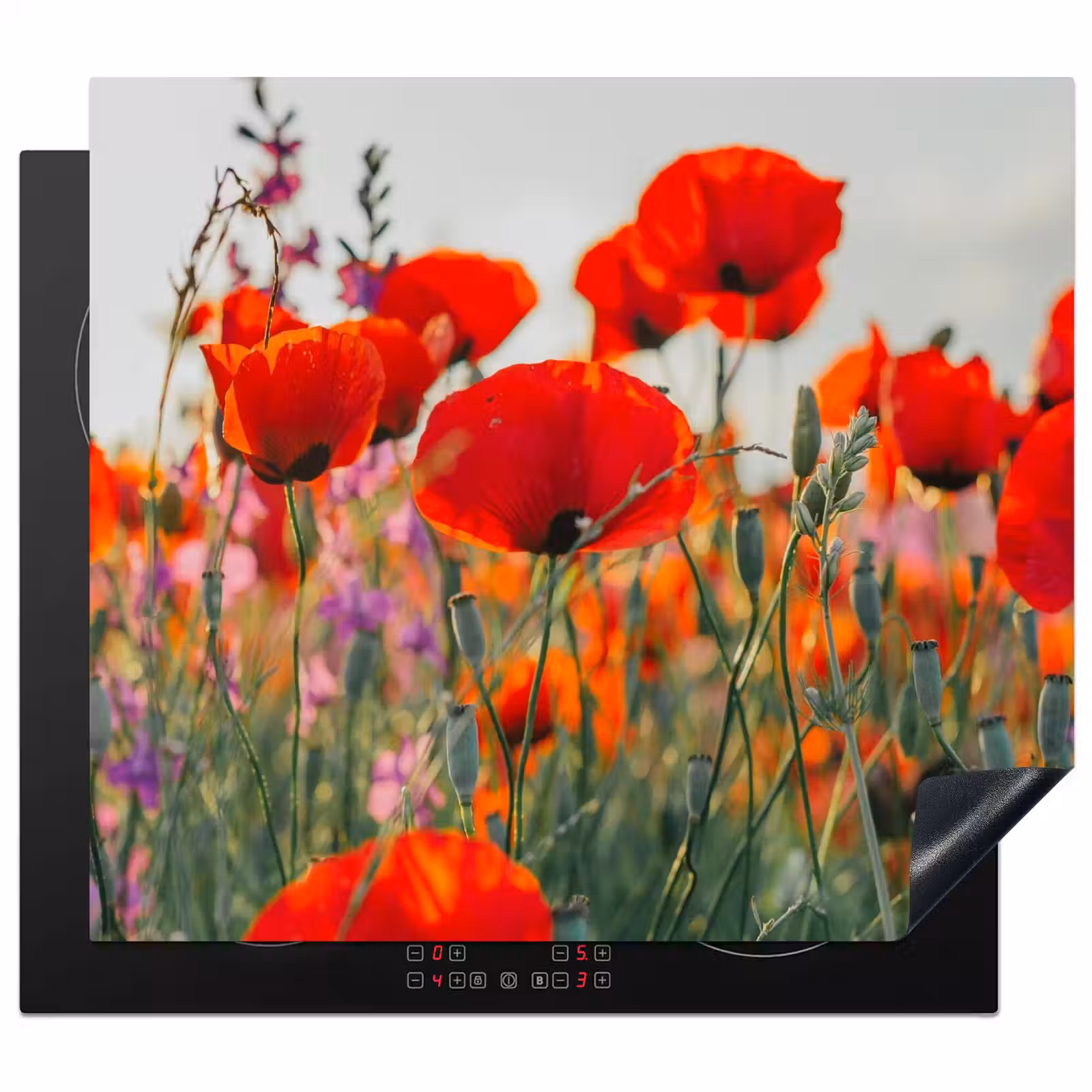 Herdabdeckplatte - Mohnblumen in der Morgendämmerung — 1