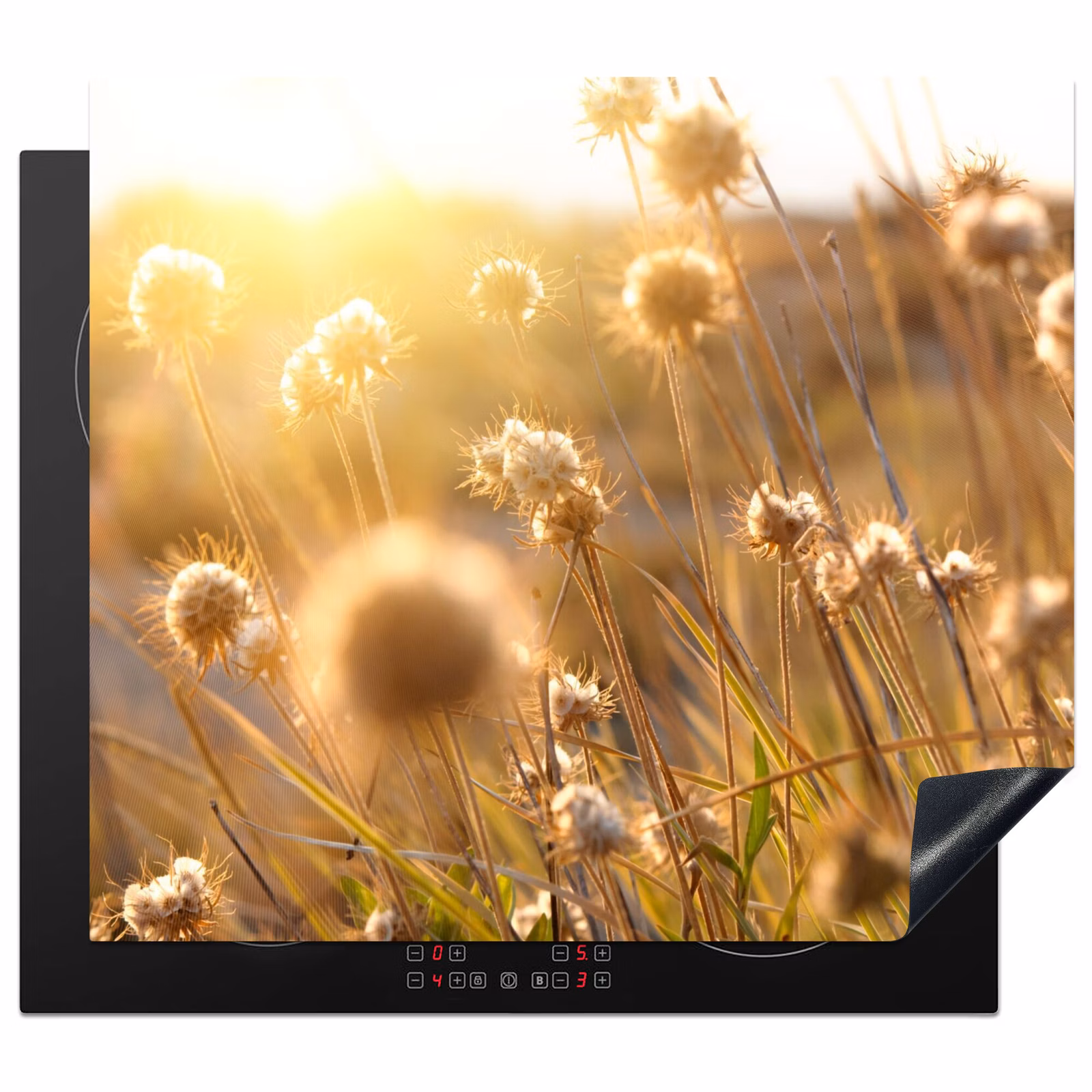 Herdabdeckplatte - Sonnenbeschienenes Feld Blumen — 1
