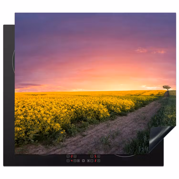 Herdabdeckplatte - Abendlicht über dem Rapsfeld — 1