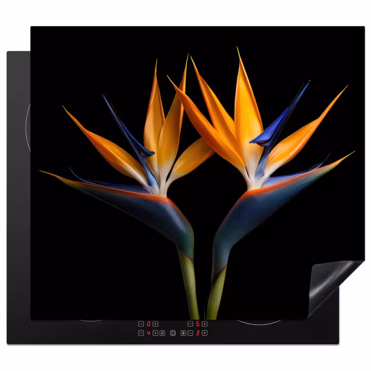 Herdabdeckplatte - Paradiesvogelblume Symmetrie — 1
