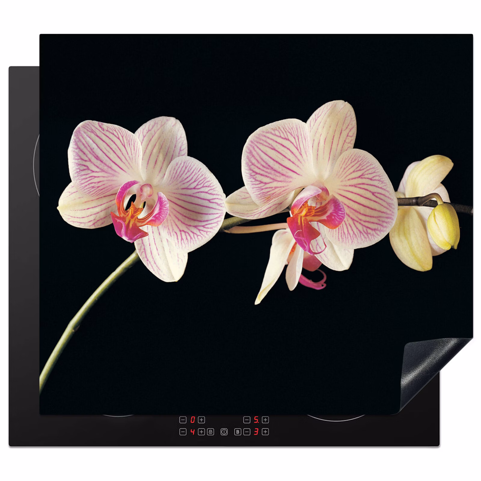 Herdabdeckplatte - Signierte Schönheit der Orchideen — 1