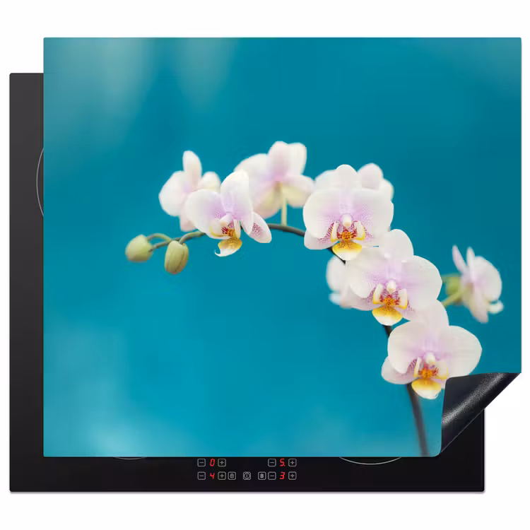 Herdabdeckplatte - Aqua Bliss Orchideen — 1