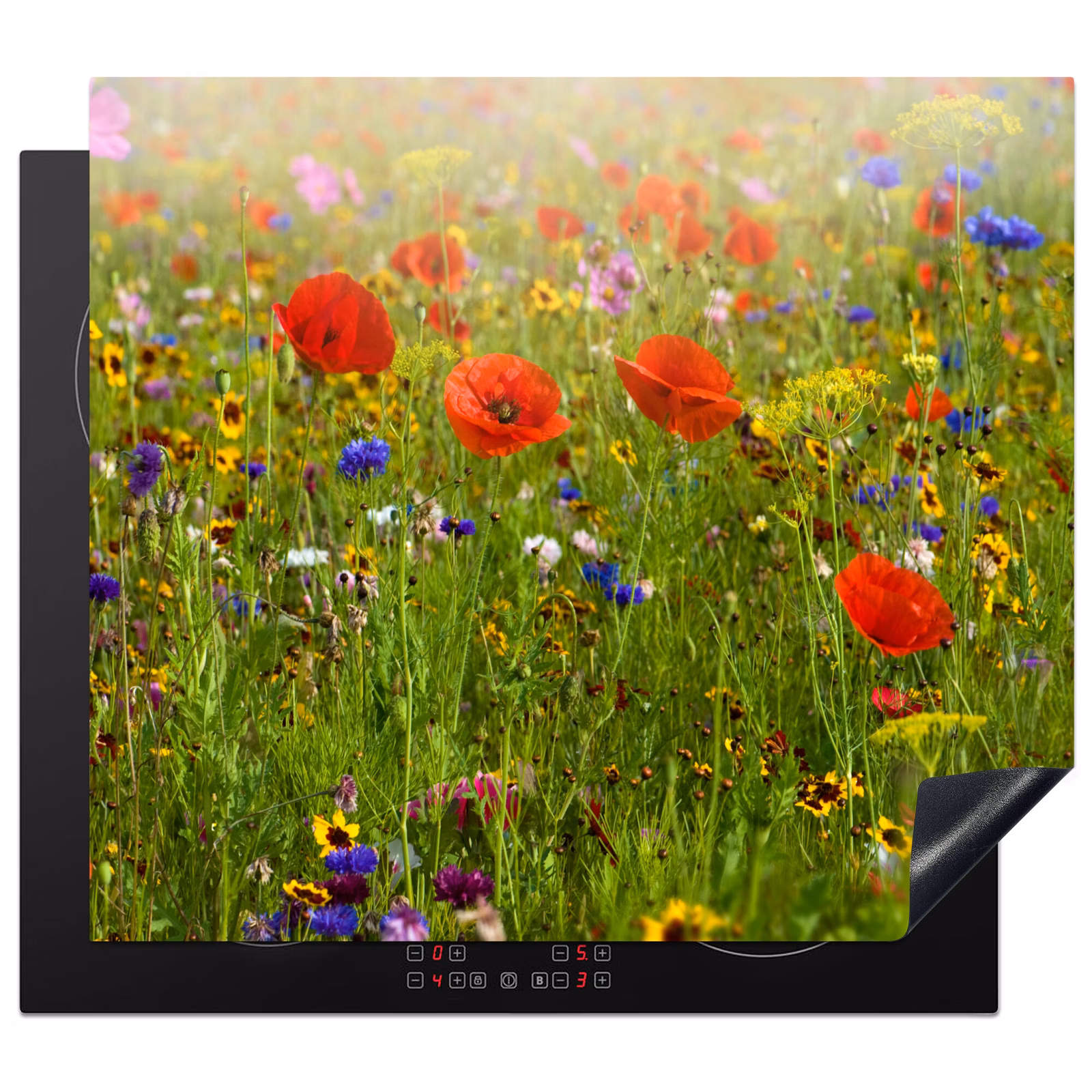 Herdabdeckplatte - Wildblumenreichtum im Sommer — 1