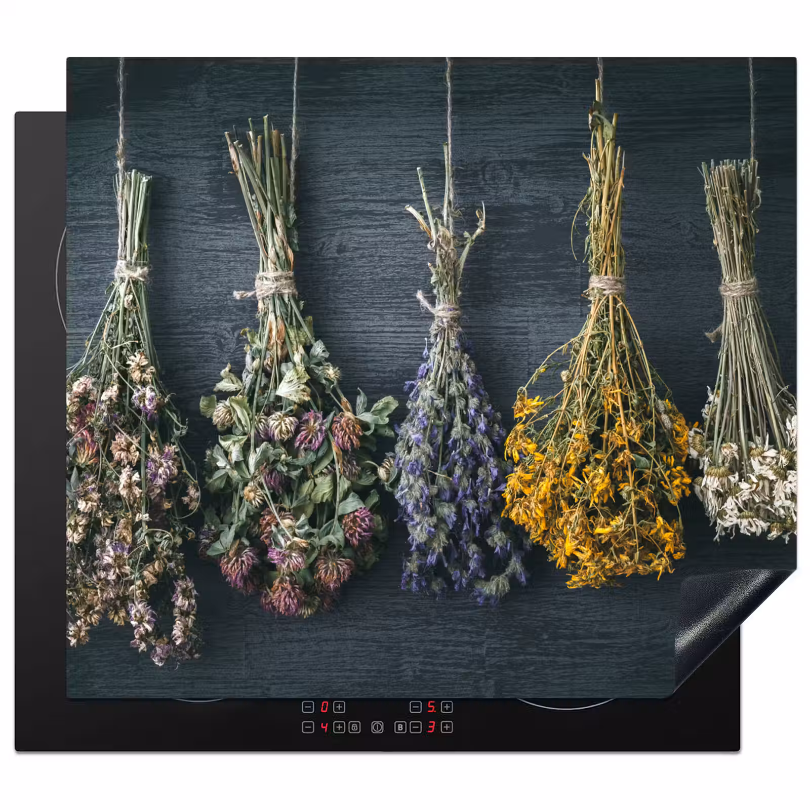 Herdabdeckplatte - Apotheke der Natur — 1