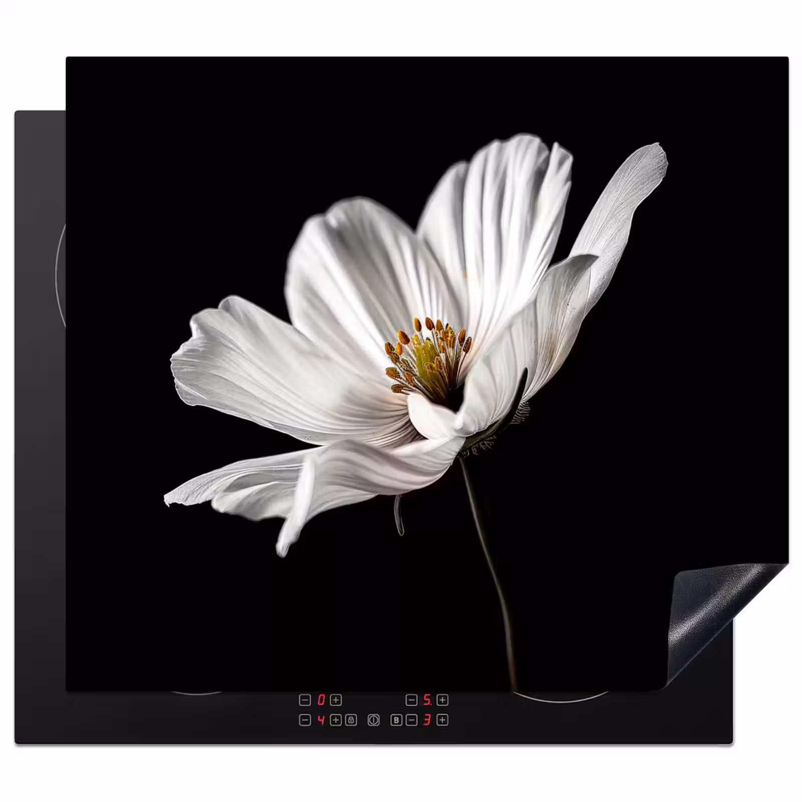Herdabdeckplatte - Seidensolist — 1