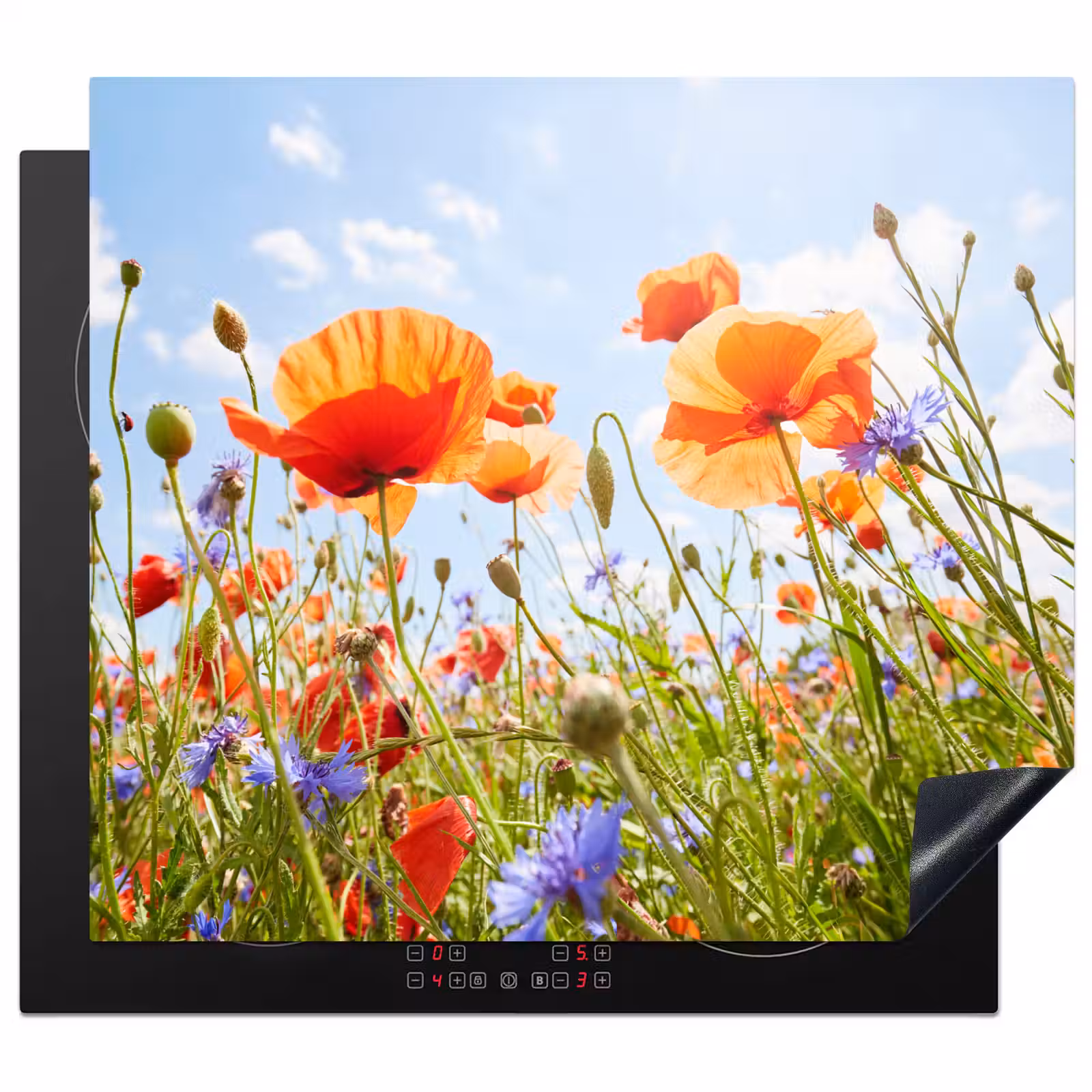 Herdabdeckplatte - Sommertanz der Mohn- und Kornblumen — 1