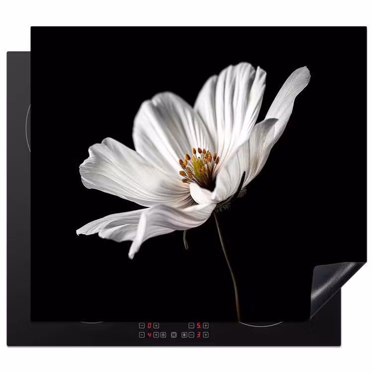 Herdabdeckplatte - Seidensolist — 1
