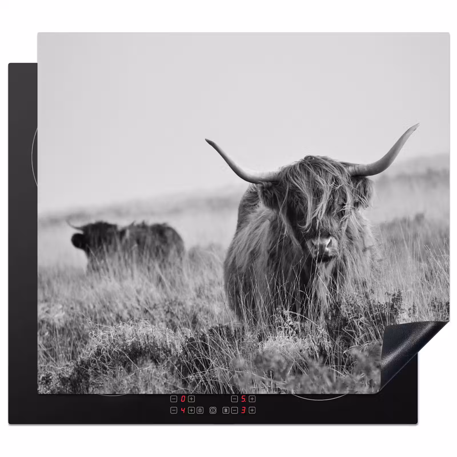 Herdabdeckplatte - Schottischer Highlander in Monochrom — 1