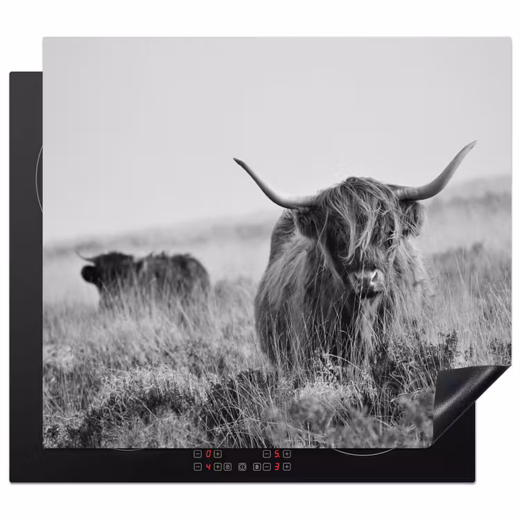 Herdabdeckplatte - Schottischer Highlander in Monochrom — 1