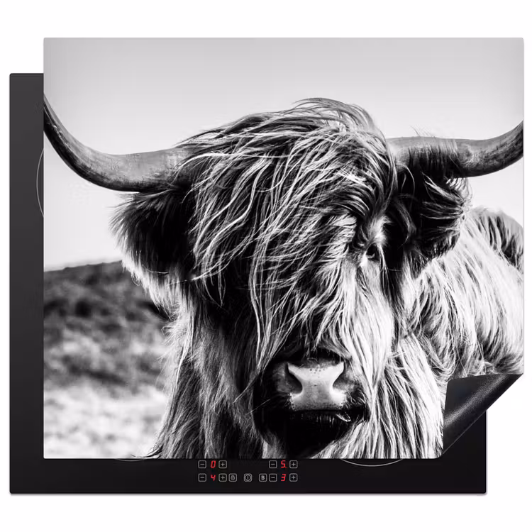 Herdabdeckplatte - Stille Kraft — 1