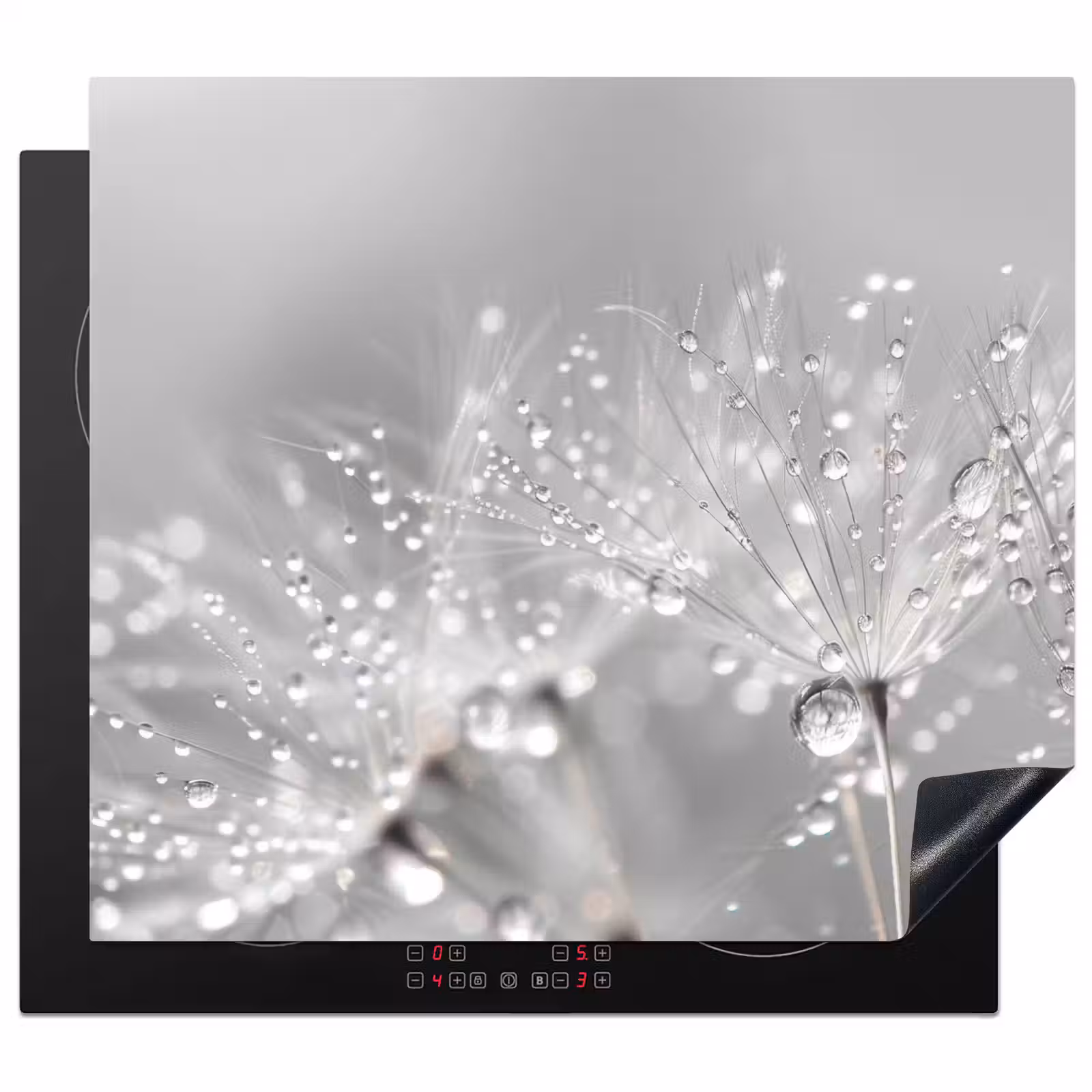 Herdabdeckplatte - Löwenzahn - Wassertropfen - Stilleben - Modern — 1