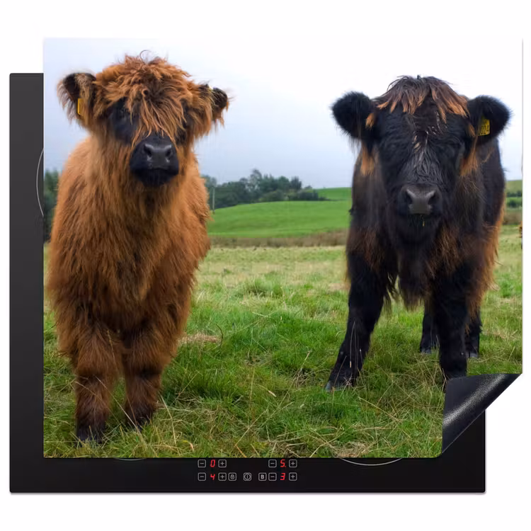 Herdabdeckplatte - Duo van de Weide — 1