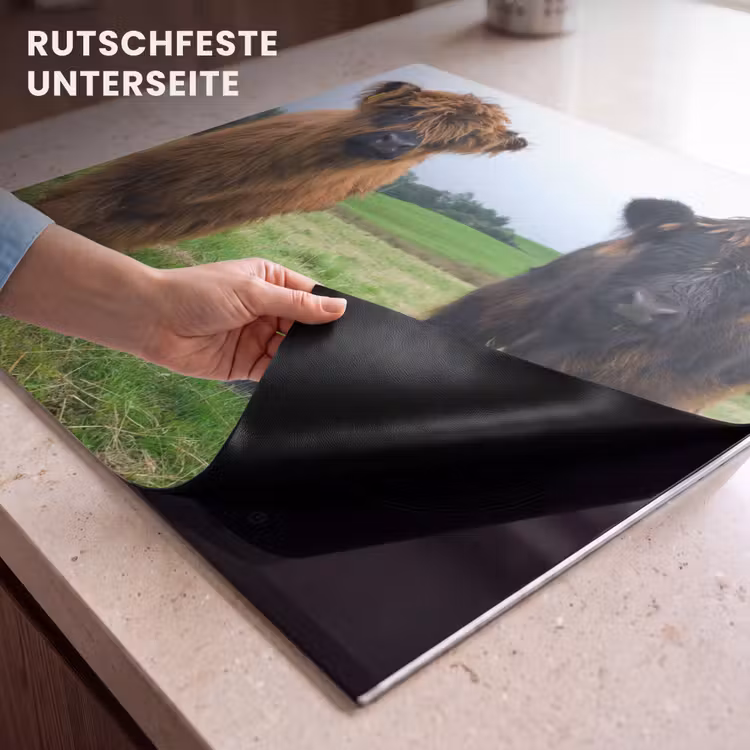 Herdabdeckplatte - Duo van de Weide — 6