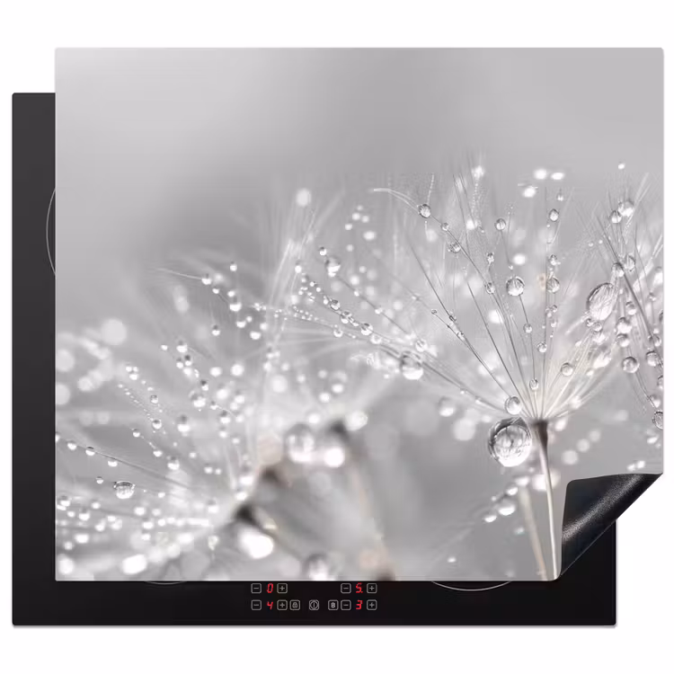 Herdabdeckplatte - Löwenzahn - Wassertropfen - Stilleben - Modern — 1