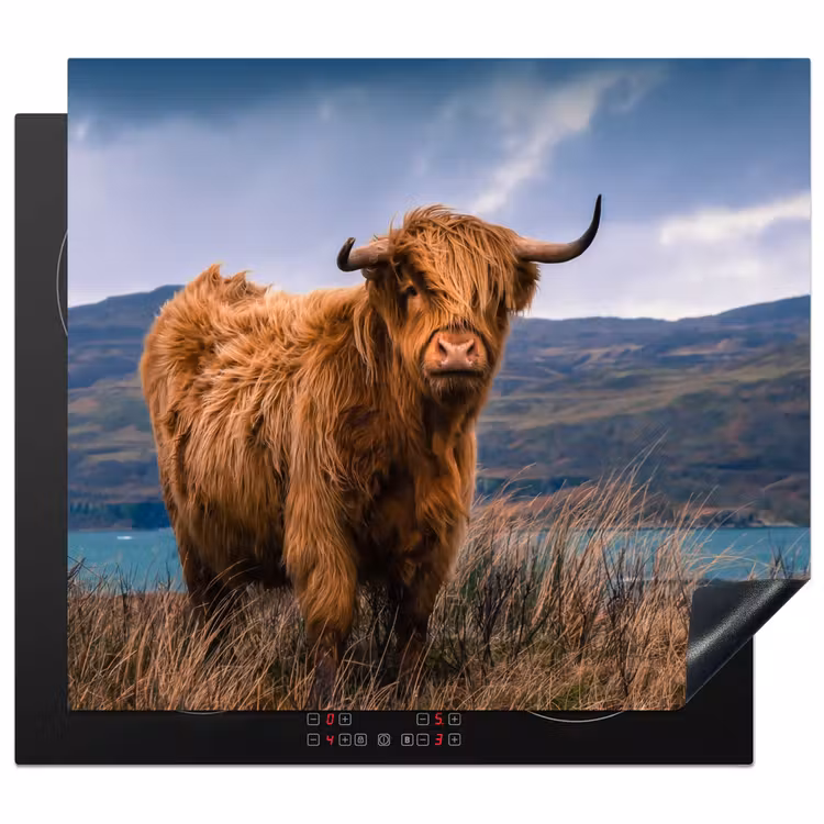 Herdabdeckplatte - Highlander an der Küste — 1