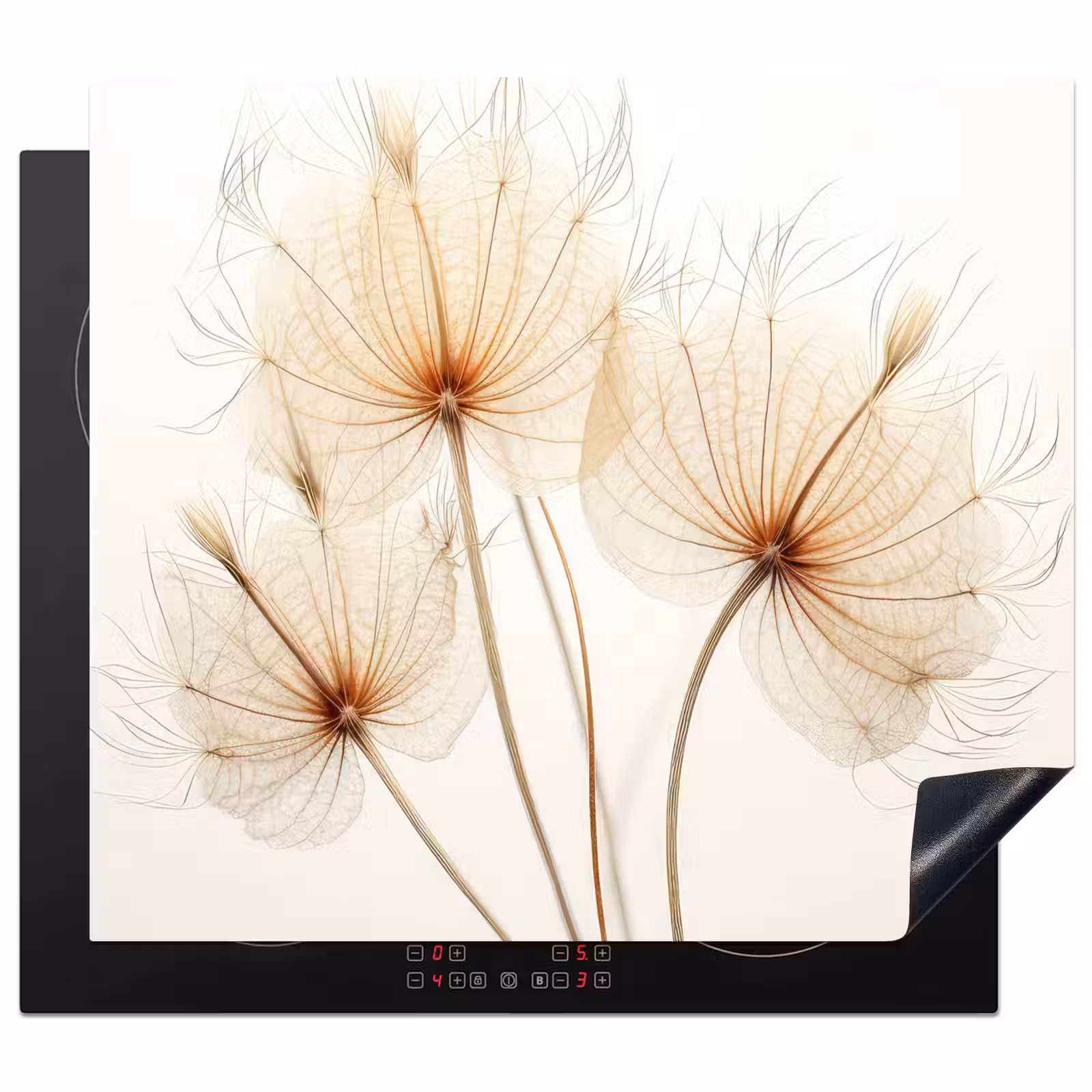 Herdabdeckplatte - Eleganz in Transparenz — 1