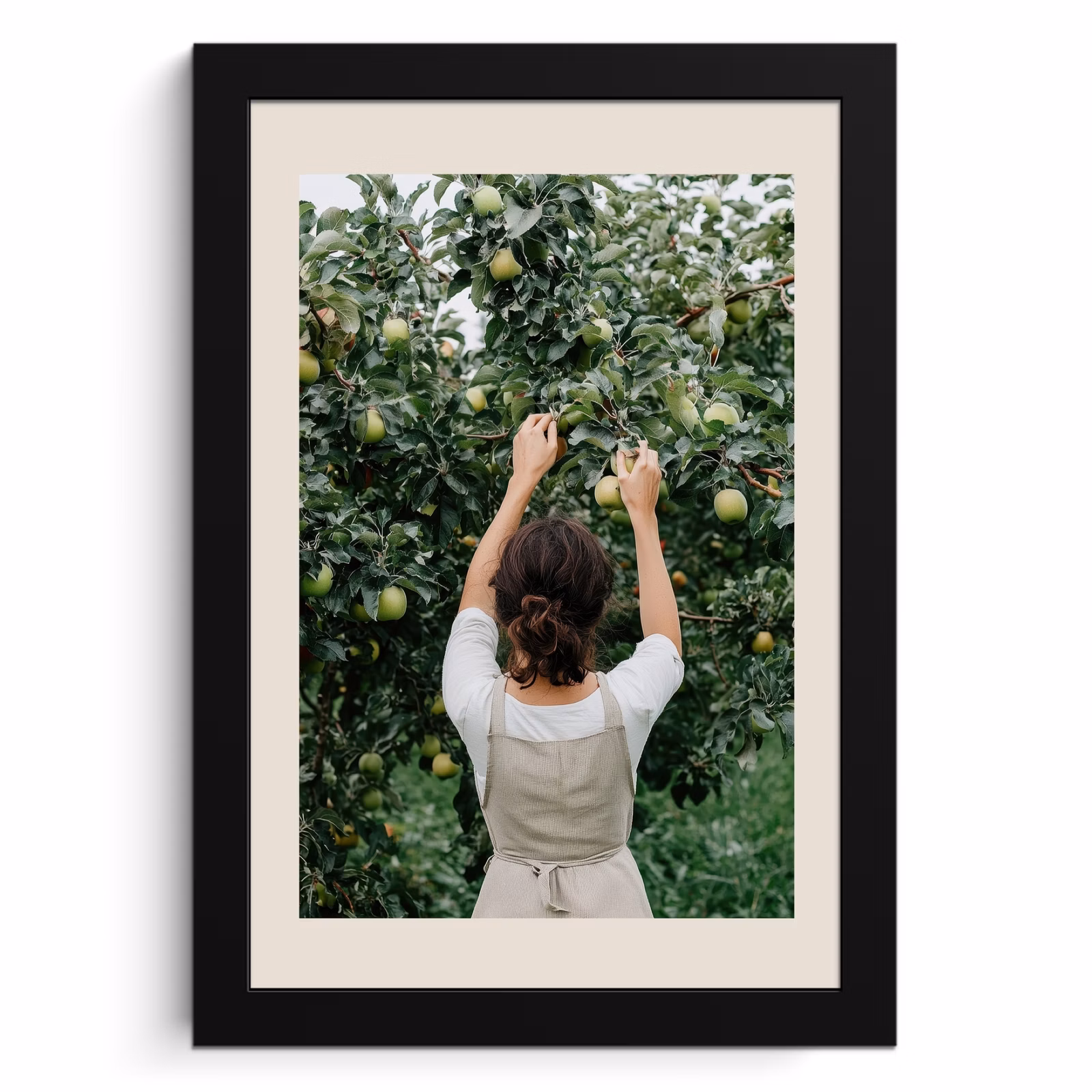 Bilder mit Rahmen - Baum - Äpfel - Pflücken - Natur — 1
