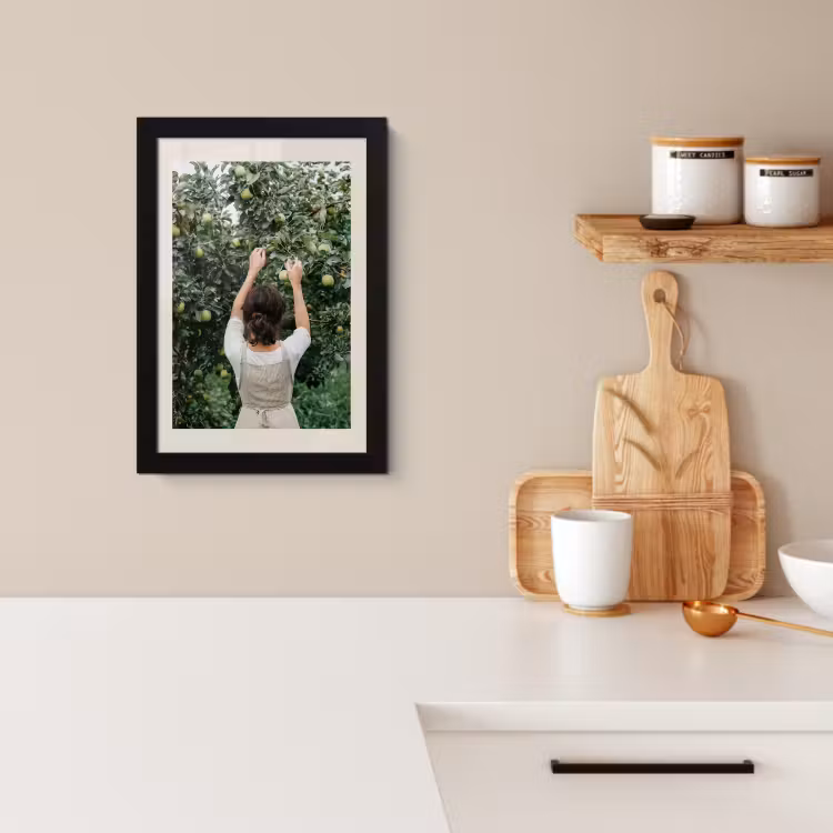 Bilder mit Rahmen - Baum - Äpfel - Pflücken - Natur — 2