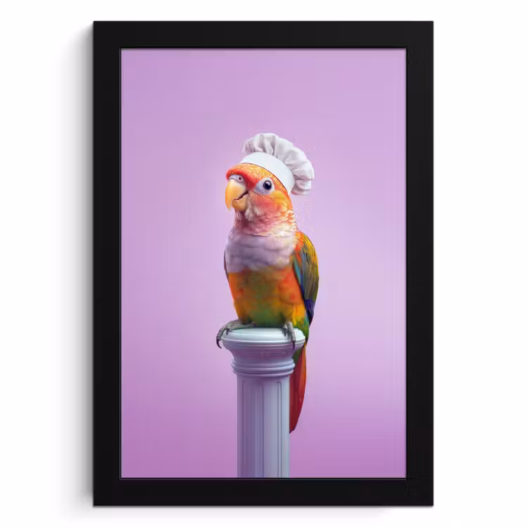 Bilder mit Rahmen - Papagei - Kochmütze - Säule - Vogel — 1
