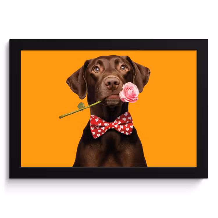Bilder mit Rahmen - Hund - Orange - Rose - Valentinstag — 1