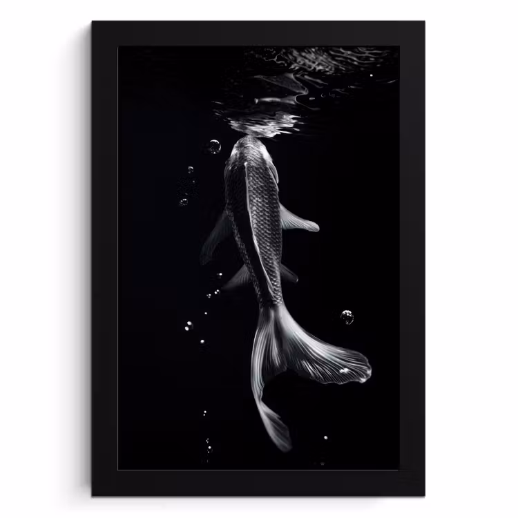 Bilder mit Rahmen - Koi - Fisch - Wasser - Schwarz — 1