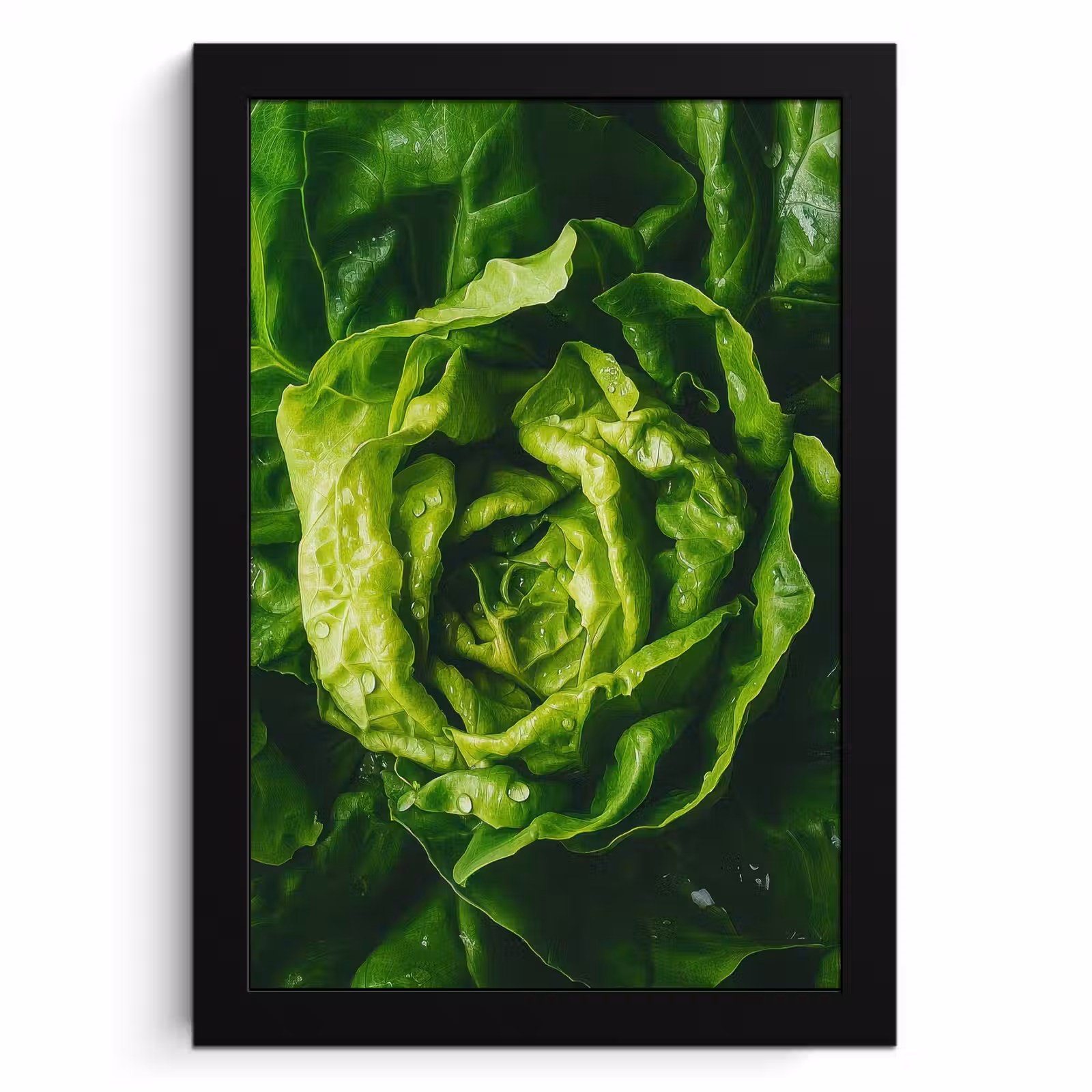 Bilder mit Rahmen - Gemüse - Kopfsalat - Grün — 1