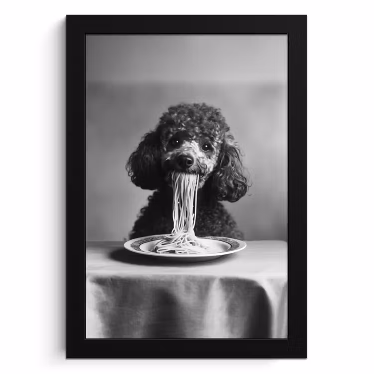 Bilder mit Rahmen - Pudel - Hund - Schwarz - Weiß - Niedlich - Nudeln — 1