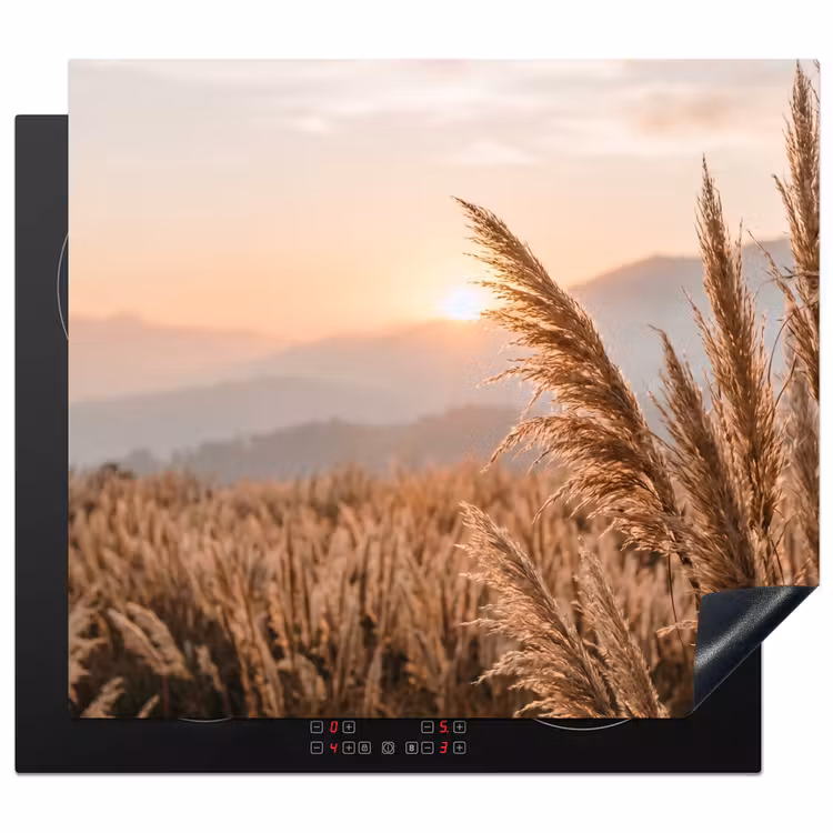 Herdabdeckplatte - Gras - Feld - Sonne - Natur — 1