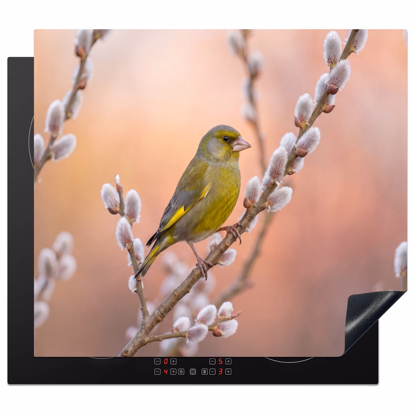 Herdabdeckplatte - Grünfink - Katzen - Frühling - Natur - Weich — 1