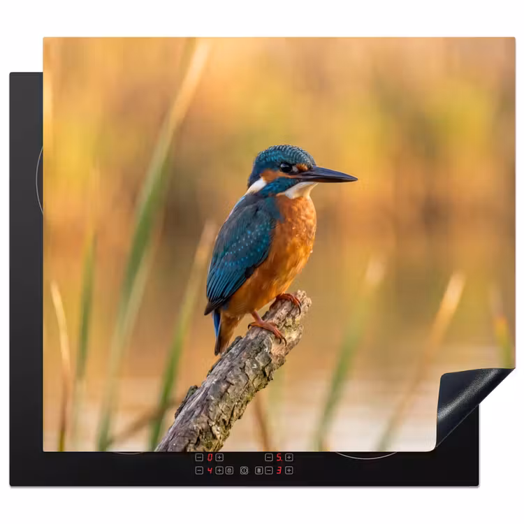 Herdabdeckplatte - Eisvogel - Zweig - Wasser - Bunt - Lebendig — 1